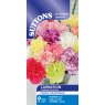 SEED CARNATION CHABAUD GIANT MIX