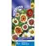SUTTONS Suttons Chrysanthemum Carinatum Sunshine Mix Seeds