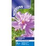 SEED COSMOS FIZZY PINK