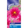 SUTTONS Suttons Bipinnatus Fandango Cosmos Seeds