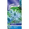 SUTTONS Suttons Eryngium Alpinum Blue Ice Seeds