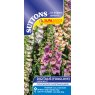 SEED FOXGLOVE DOTTIE MIX F1 DIGITALIS