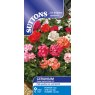 SEED GERANIUM F2 SUPER HYBRID MIX