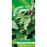 SUTTONS Suttons Tree Spinach Seeds
