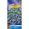 SEED LOBELIA CAMBRIDGE BLUE