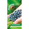 SUTTONS Suttons Wild Blueberry Seeds