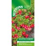 SUTTONS Suttons Mountain Cranberry Seeds