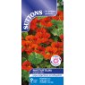 SUTTONS Suttons Orange Troika Nasturtium Seeds