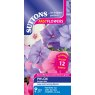 SEED PHLOX DRUMMONDII DELIGHT MIX