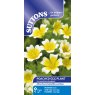 SEED POACHED EGG PLANT