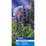 SUTTONS Suttons Farinacea Victoria Salvia Seeds