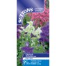 SUTTONS Suttons Clary Bouquet Salvia Mix Seeds