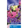 SUTTONS Suttons Statice Special Mix Seeds