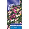 SEED VIRGINIA STOCK SPRING SPARKLE