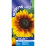 SUTTONS Suttons Orange Mahogany Sunflower F1 Seeds