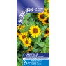 SUTTONS Suttons Sanvitalia Basket Sunflower Seeds