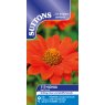 SEED TITHONIA RED TORCH