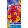 SUTTONS Suttons Dahlia Flowered Zinnia Mix Seeds