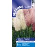 SUTTONS Suttons Pampas Grass Feathers Mix