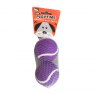 Pet Touch Playtime Doggy Squeaky Play Balls 2 Pack Assorted
