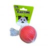 Pet Touch Playtime Solid Thermoplastic Rubber Ball 6.5cm Assorted