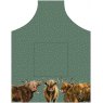 APRON HIGHLAND COWS