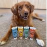 J R Pet J R Pet Premium Dog Paste 75g