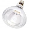 BULB INFRA RED 250W ES CLEAR