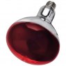 BULB INFRA RED 250W RED