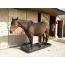 FOOTBATH FB4 309L A/SLIP PAXTON