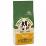 JWB DOG ADULT 2KG LAMB/RICE