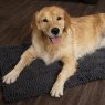 BLANKET NOODLE DRY MAT SCRUFFS