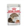 R/C CAT AGEING GRVY POUCH 85G