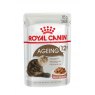R/C CAT AGEING GRVY POUCH 85G