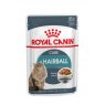 R/C CAT HAIRBALL CARE POUCH 85G
