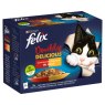 FELIX AGAIL DD MEAT 40X100G