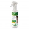 FIRST AID SPRAY 200ML AQUEOUS