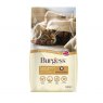 BURGESS CAT ADLT 10KG CHICKEN