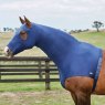 STRETCH HOOD PONY NAVY WB