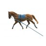 LUNGING TRAINING SYSTEM KINCADE