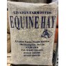 EQUINE HAY BALE