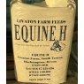 EQUINE H HAYLAGE MINI BALE YELLOW