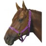 Roma Roma Nylon Mini Headcollar