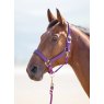 *HEADCOLLAR NYLON FULL PURP TOPAZ