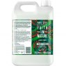 *FIN A/VERA CONDITION REFILL