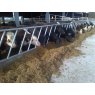 FEED BARRIER 14'6" NO BASE FLAT BRACKET