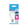 Status LED GLS Bulb BC