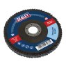 FLAP DISC 100MM 60 GRIT