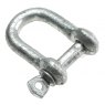 Eliza Tinsley Galvanised Untested D Shackle 1/4"