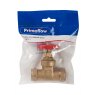 VALVE GATE BRASS 22MM